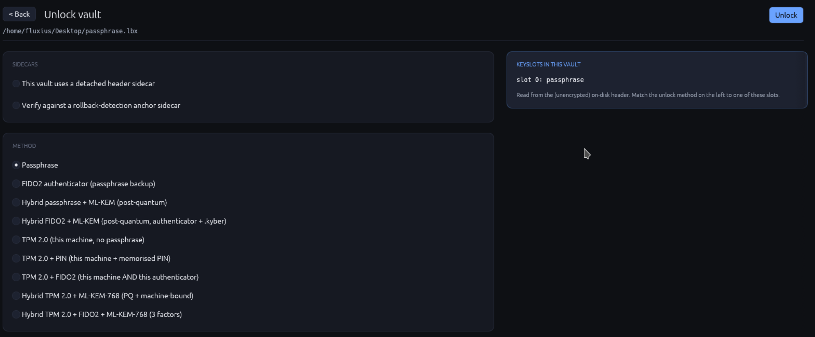 Unlock view for a passphrase vault: vault path at top, single passphrase input field with show/hide eye, and a big Unlock button below
